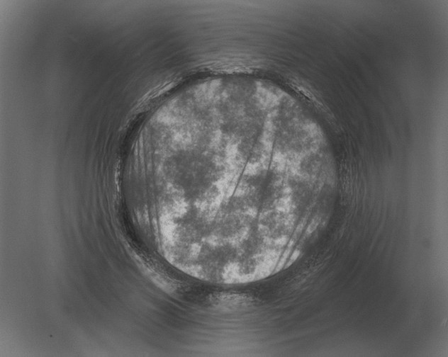 X0000080720590200701121846