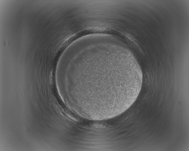 X0000080720596200701121846