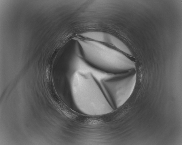 X0000080720597200701121846