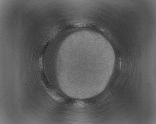 X0000080720598200701121846