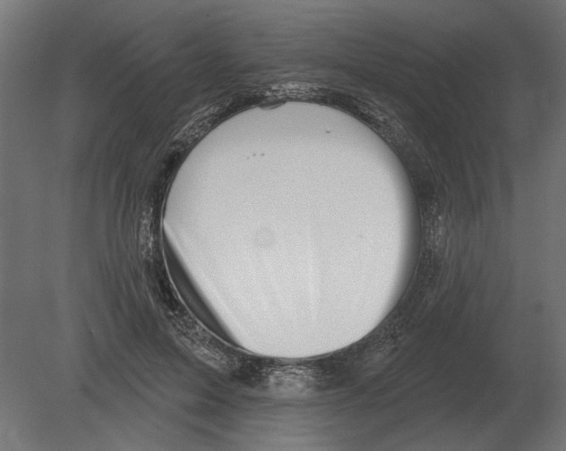 X0000080720599200701121845