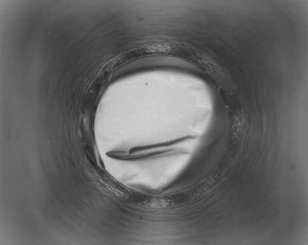 X0000080720600200701121845