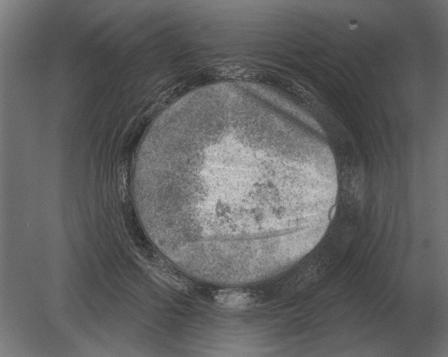 X0000080720602200701121845