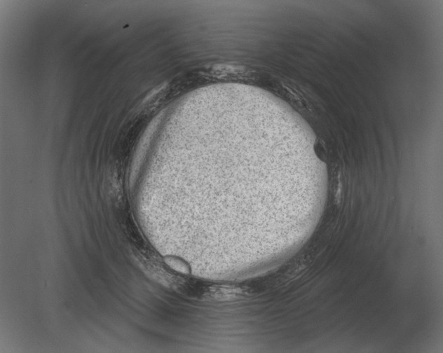 X0000080720607200701121845