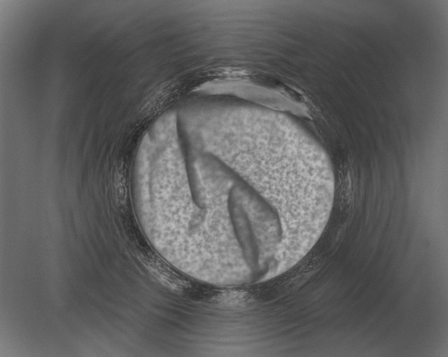 X0000080720609200701121845