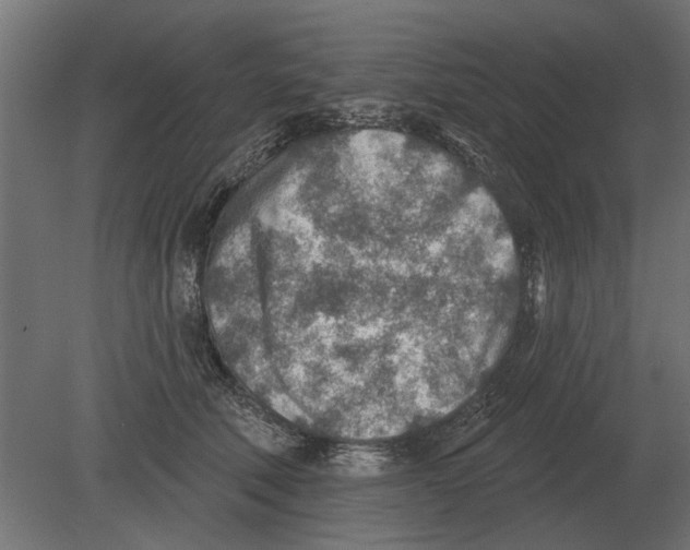 X0000080720610200701121845