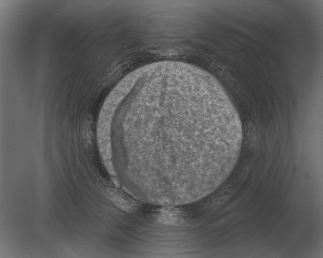 X0000080720612200701121845