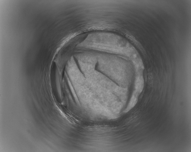 X0000080720626200701121844