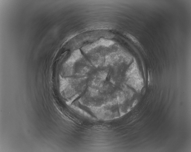 X0000080720627200701121844