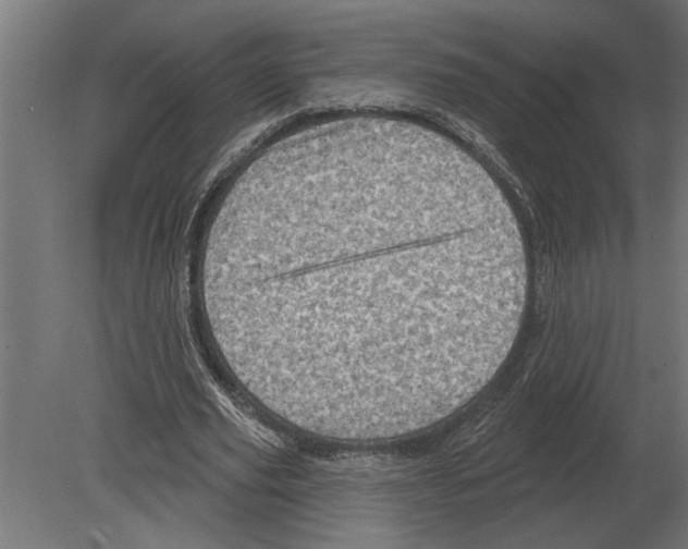 X0000080720629200701121844