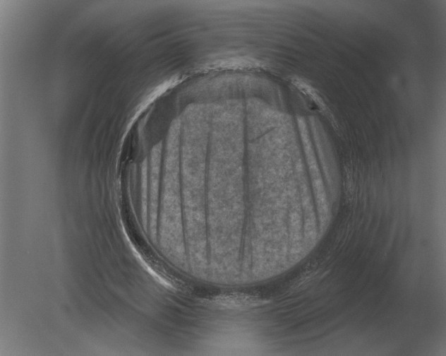 X0000080720630200701121844