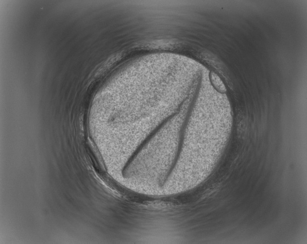 X0000080720633200701121844