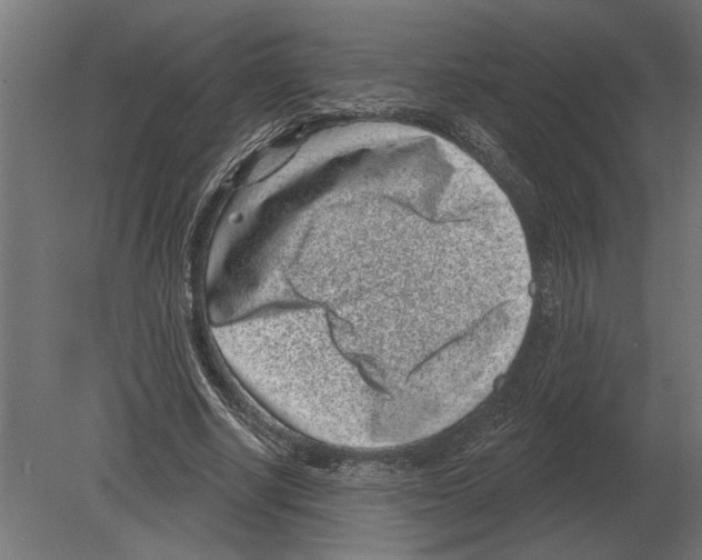 X0000080720634200701121844