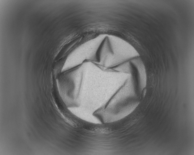 X0000080720638200701121844