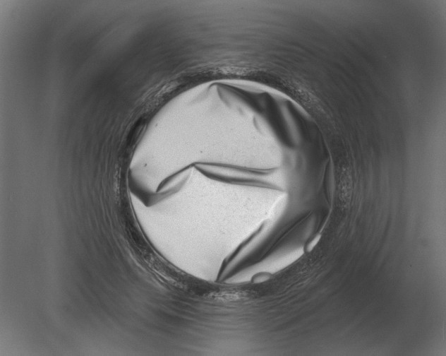 X0000080720639200701121844