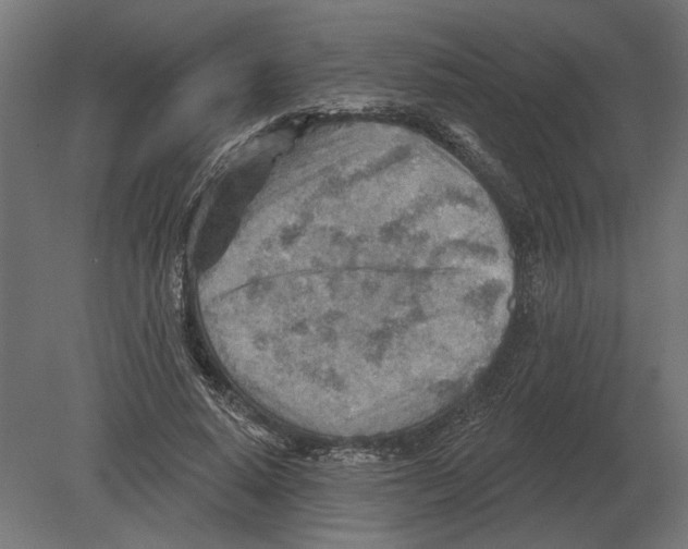 X0000080720640200701121844