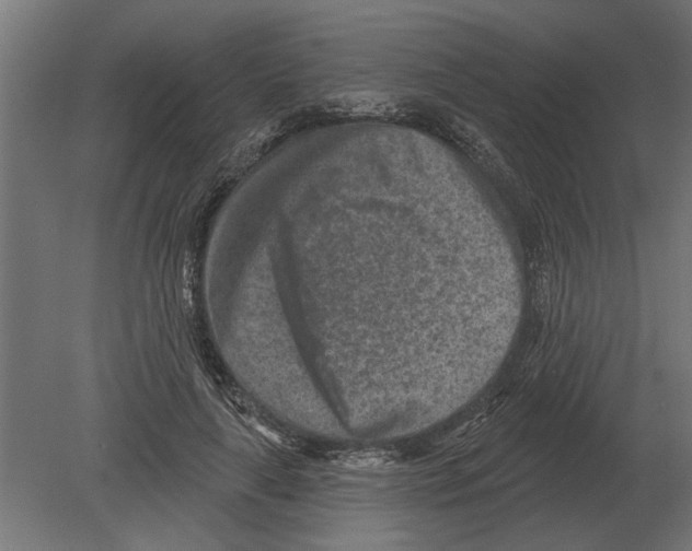 X0000080720643200701121845