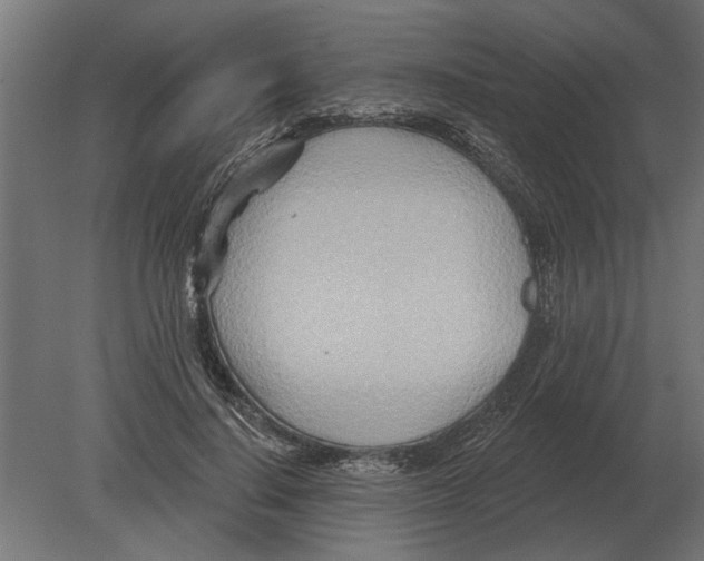 X0000080720644200701121845