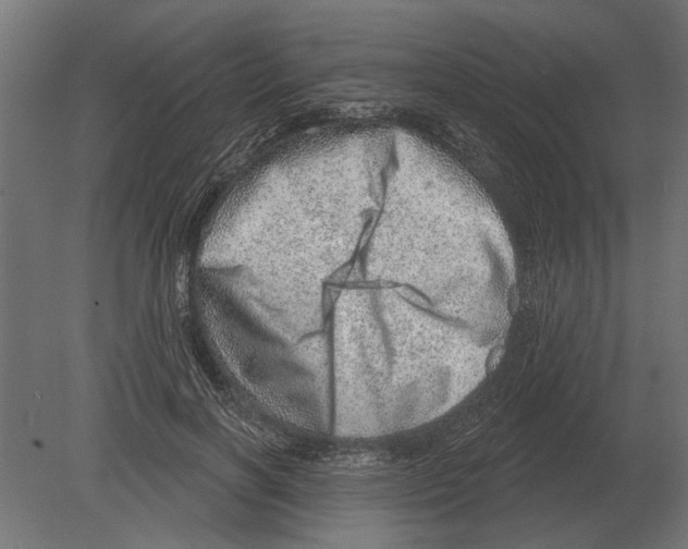 X0000080720646200701121845