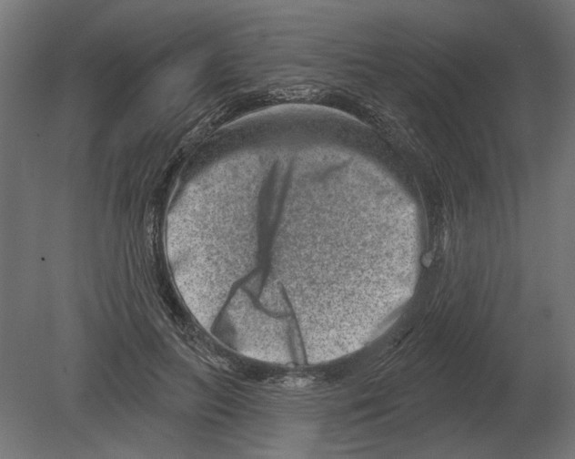 X0000080720647200701121845