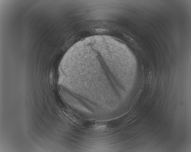 X0000080720651200701121845