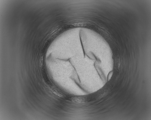 X0000080720652200701121845