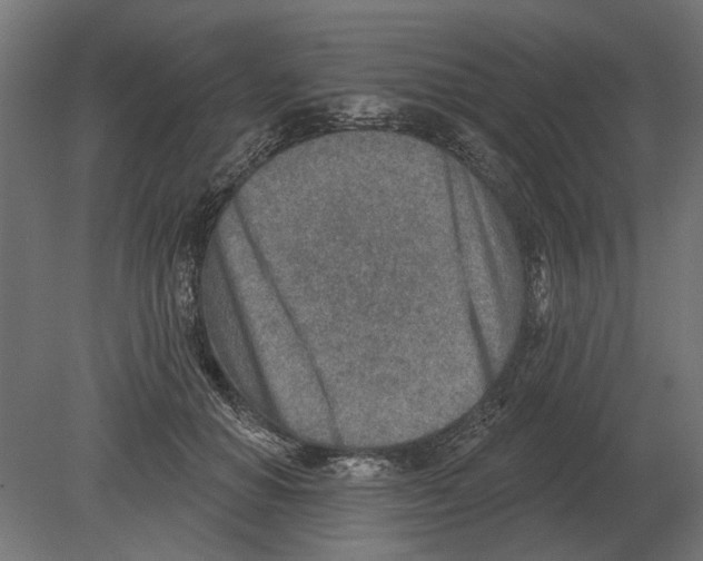 X0000080720654200701121845