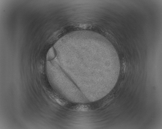 X0000080720656200701121845