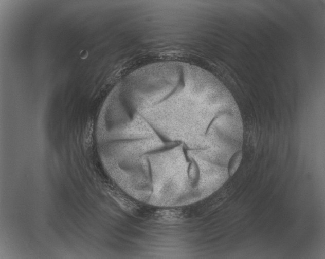 X0000080720660200701121845