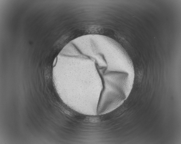 X0000080720665200701121845