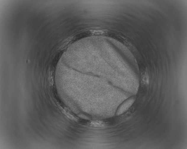 X0000080720666200701121845