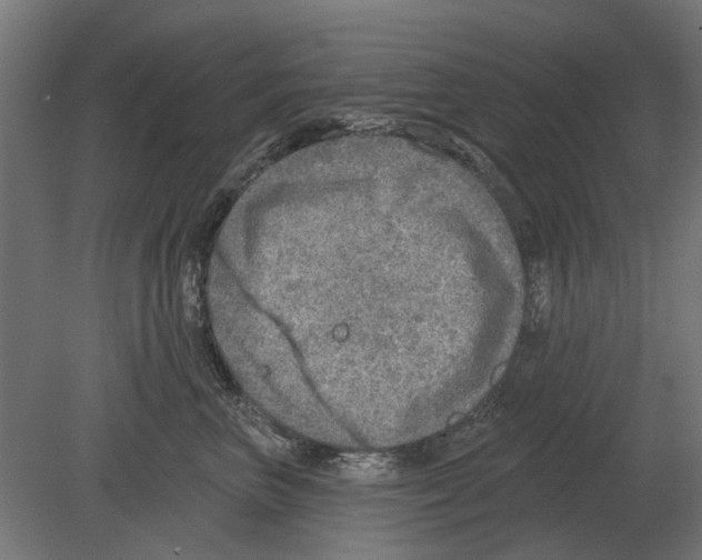 X0000080720667200701121845