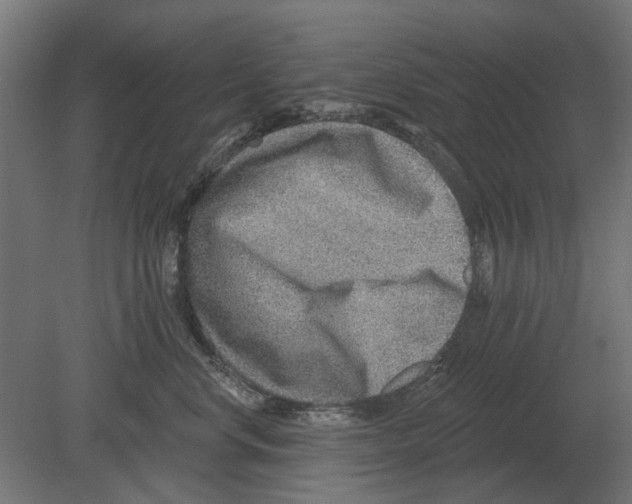 X0000080720668200701121845