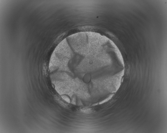 X0000080720669200701121845