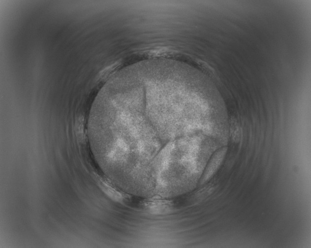 X0000080720670200701121845