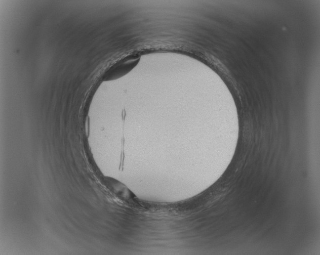 X0000080720673200701121844