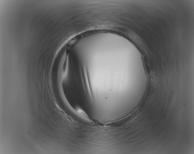 X0000080720676200701121844