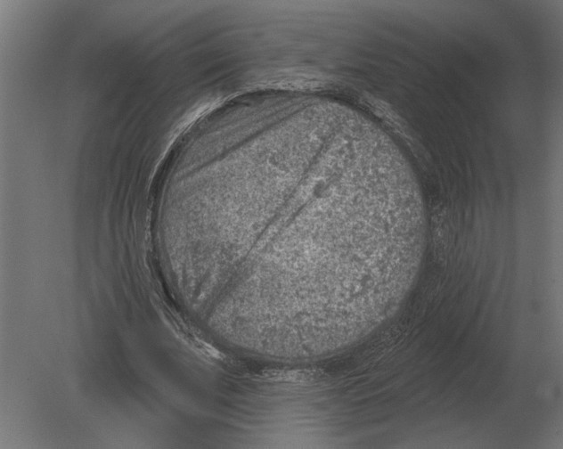 X0000080720679200701121844