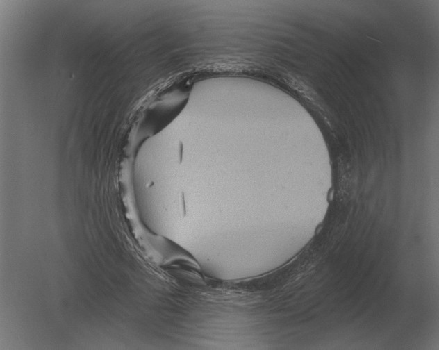 X0000080720681200701121844