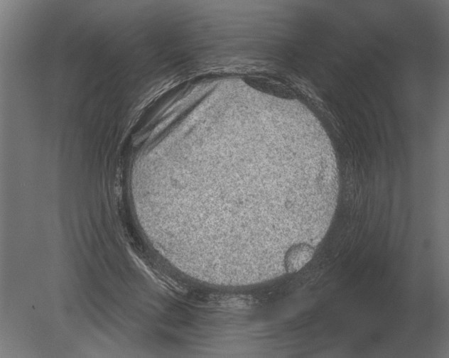 X0000080720683200701121844