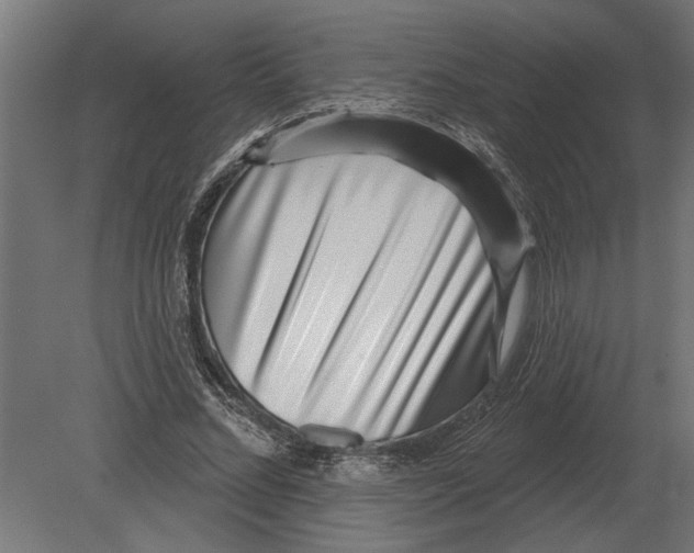 X0000080720684200701121844