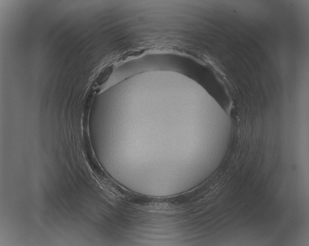 X0000080720685200701121844