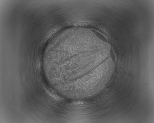 X0000080720687200701121844