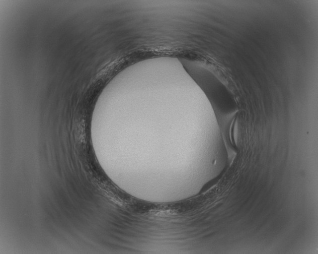 X0000080720689200701121844