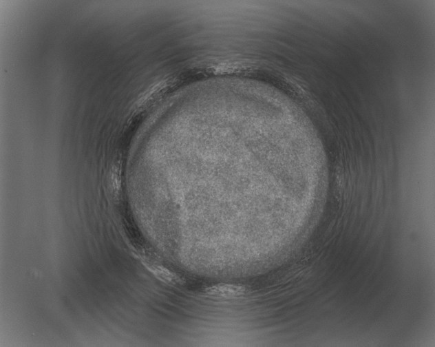 X0000080720691200701121844