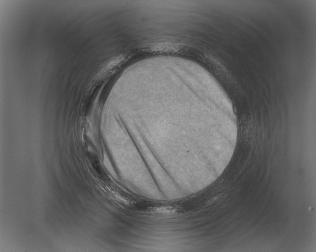 X0000080720692200701121844