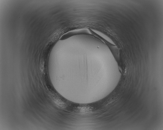 X0000080720693200701121844