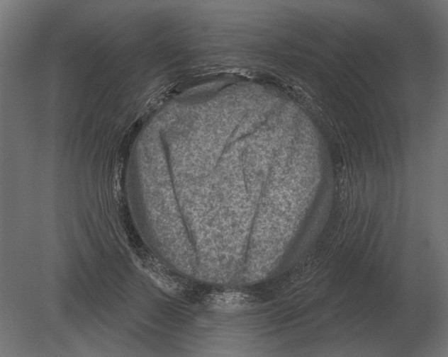 X0000080720695200701121844