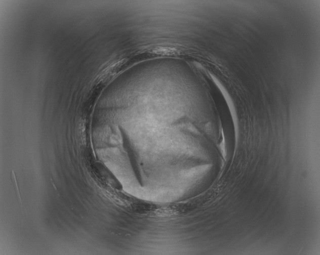 X0000080720696200701121844