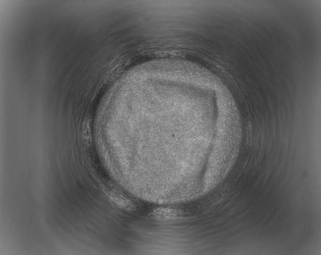 X0000080720699200701121844